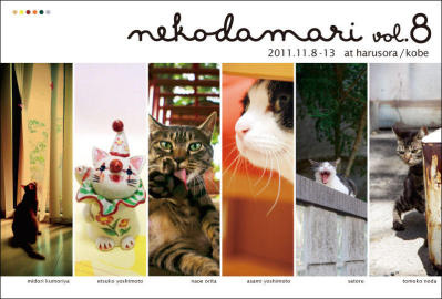 2011猫だまさん.jpg