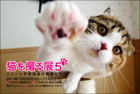 2011猫を撮る展バナー.jpg